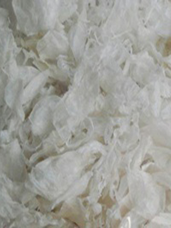 CHITOSAN QUALITY