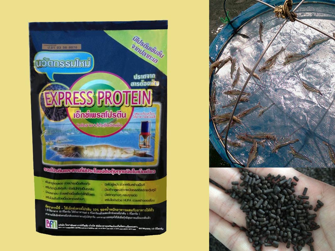 All essential nutrients for shrimp feed.