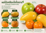 ผลไม้เคลือบด้วยไคโตซาน 3